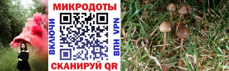 Галлюциногенные грибы Cubensis Ишимбай