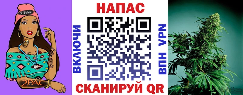 Конопля план  Купить закладки  Ишимбай 